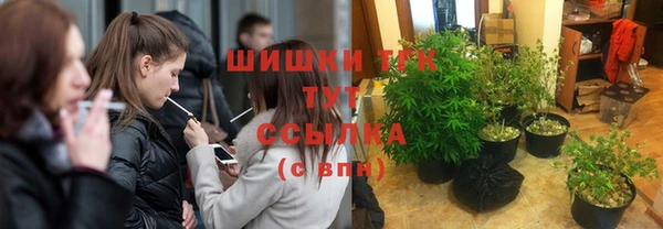 твердый Арсеньев