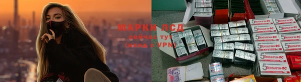 твердый Арсеньев