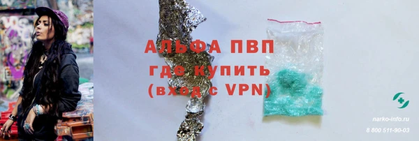 твердый Арсеньев