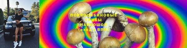 твердый Арсеньев