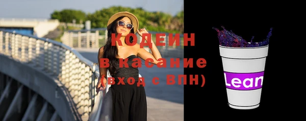 твердый Арсеньев
