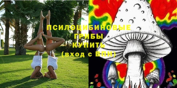 Альфа ПВП Армянск