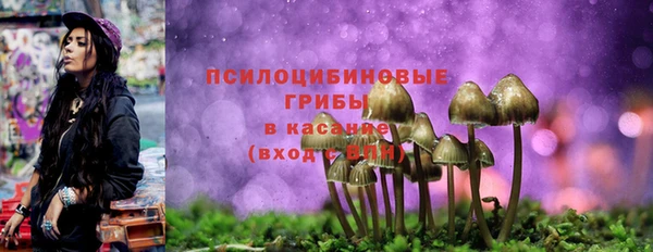твердый Арсеньев