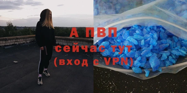 твердый Арсеньев