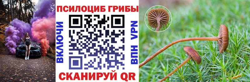 Галлюциногенные грибы мицелий  наркота  Кирово-Чепецк 